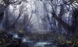 The_Dark_Forest_by_Blinck