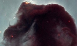 horseheadnebula