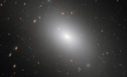 ngc1132