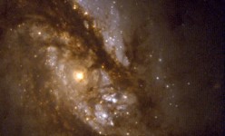 ngc1365