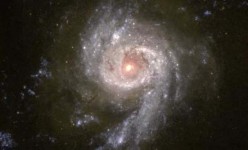 ngc3310