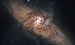 ngc3314