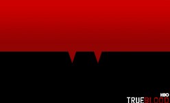 true_blood_minimalistic_wall_by_sohansurag-d2zaqdo