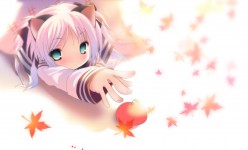 anime_wallpaper_reach