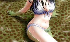 wet_swimsuit_by_ilolamai-d34c115