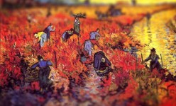 tilt-shift-van-gogh-10