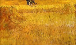 tilt-shift-van-gogh-2