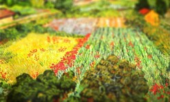 tilt-shift-van-gogh-6