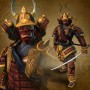 Lotus Samurai Worrier